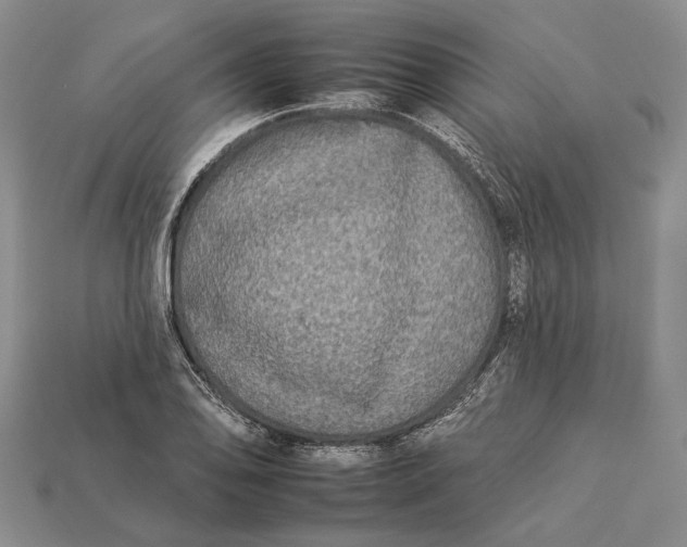 X0000112931078200909141329