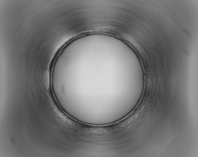 X0000112931079200909141329