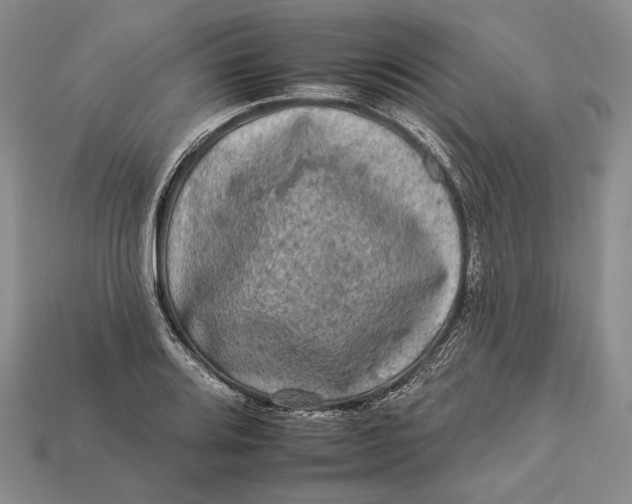 X0000112931080200909141329