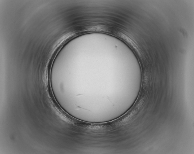 X0000112931082200909141329