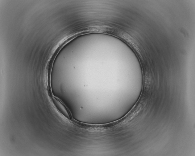 X0000112931083200909141329