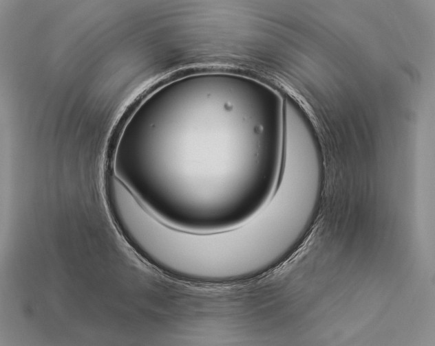 X0000112931085200909141329