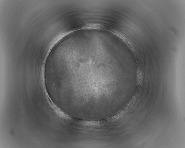 X0000112931086200909141329