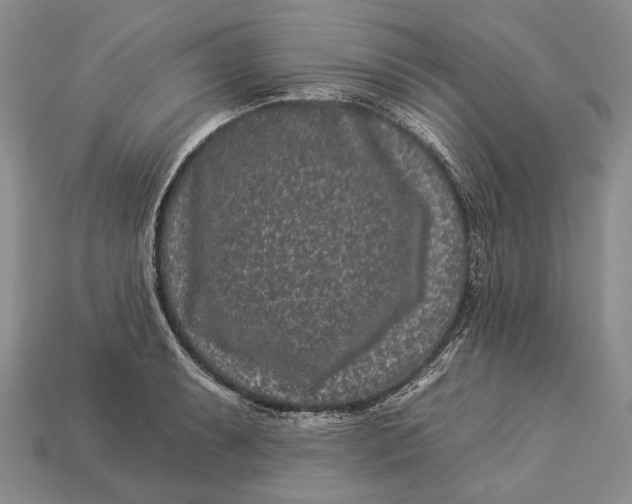 X0000112931087200909141329