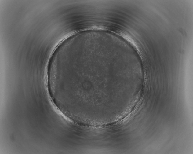 X0000112931088200909141329