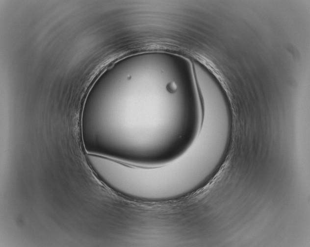 X0000112931089200909141329