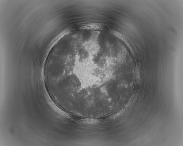 X0000112931090200909141329