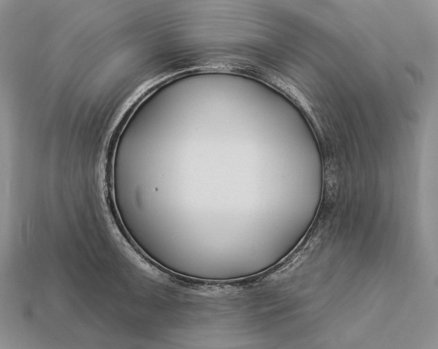 X0000112931091200909141329