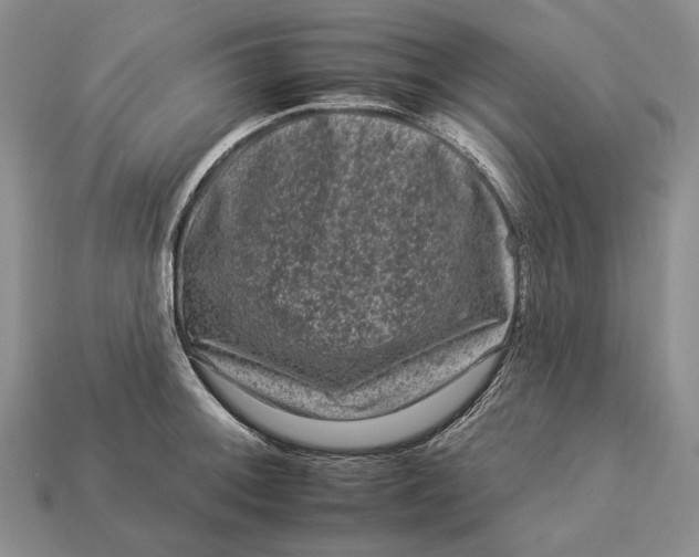 X0000112931092200909141329