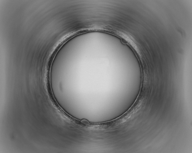 X0000112931093200909141329