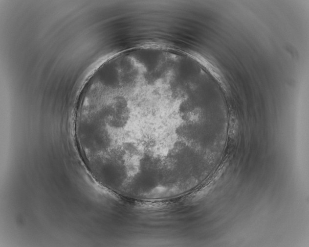 X0000112931094200909141328