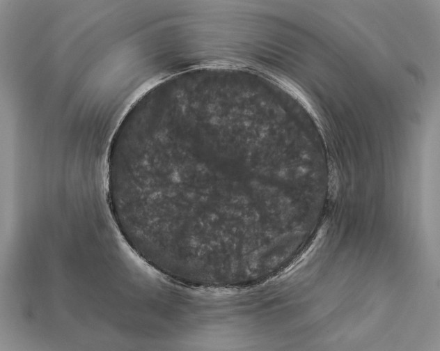 X0000112931095200909141328