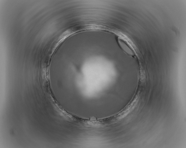 X0000112931097200909141328