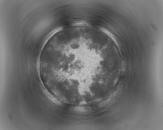 X0000112931098200909141328