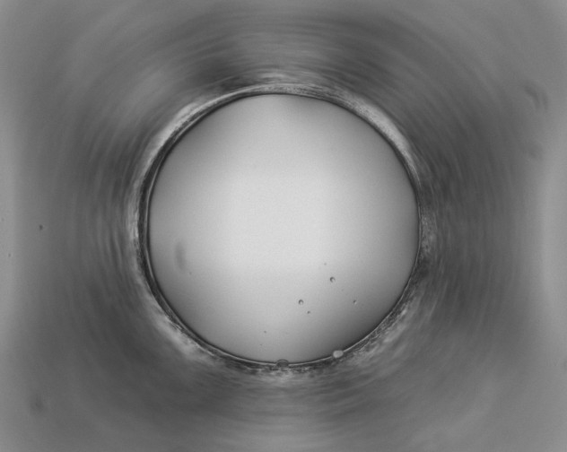 X0000112931099200909141328