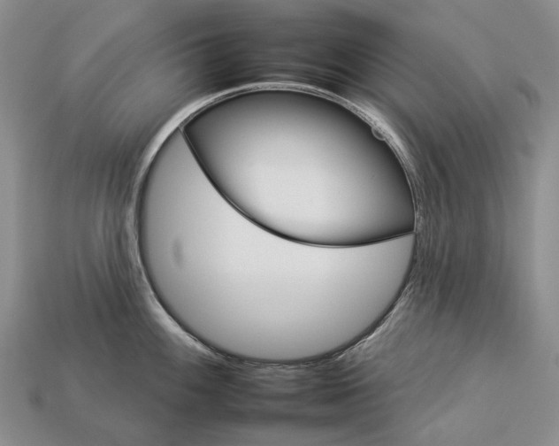 X0000112931100200909141328