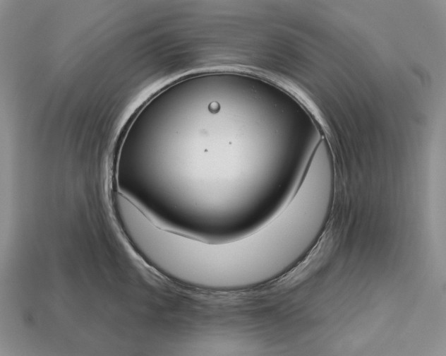 X0000112931101200909141328