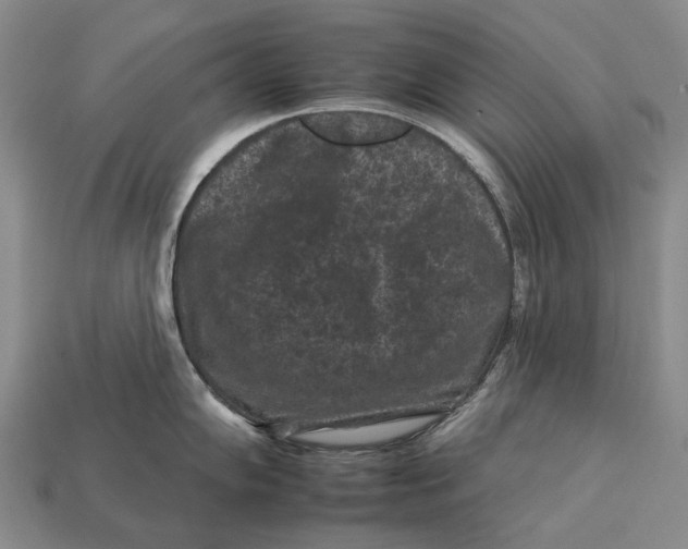 X0000112931102200909141328