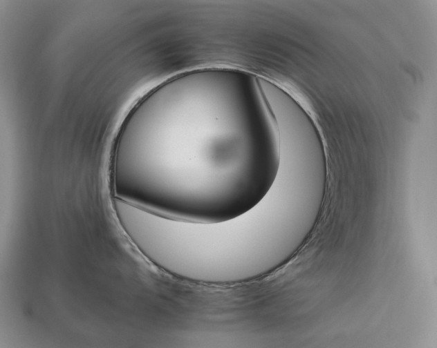 X0000112931104200909141328