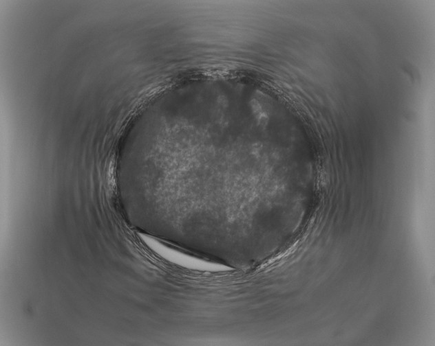 X0000112931106200909141328