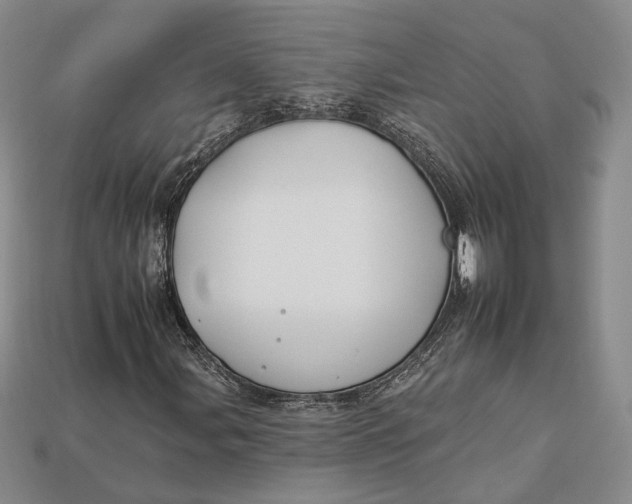 X0000112931107200909141328