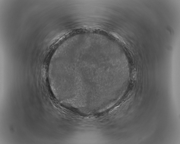 X0000112931110200909141328