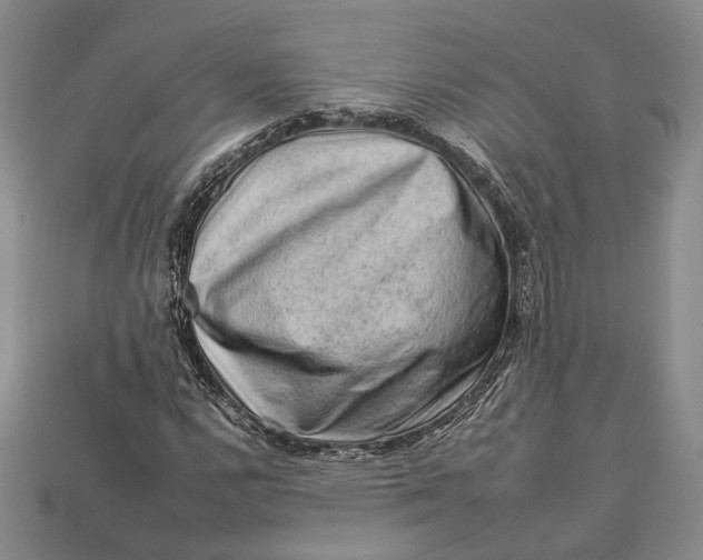 X0000112931112200909141328