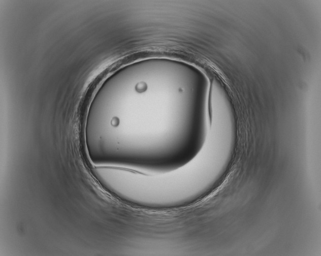 X0000112931114200909141328