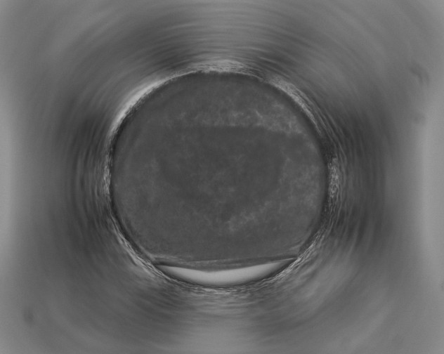 X0000112931115200909141328