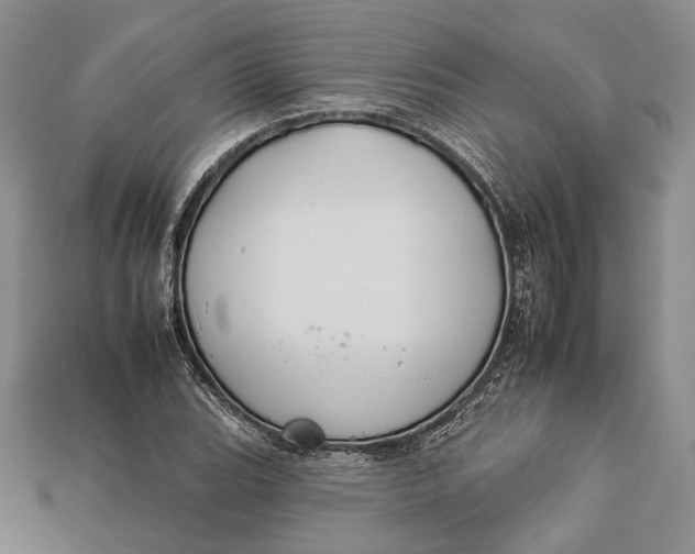 X0000112931119200909141328