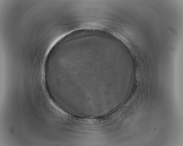 X0000112931120200909141328