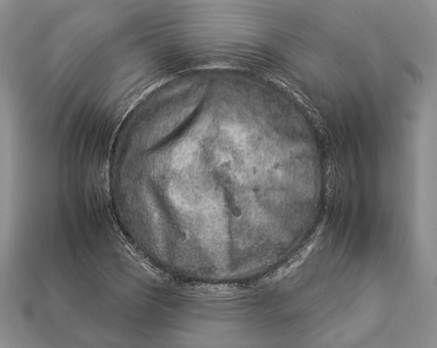 X0000112931121200909141328