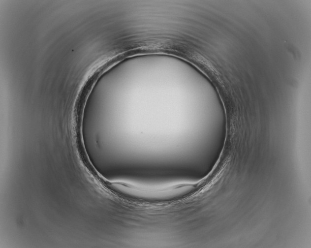 X0000112931122200909141328