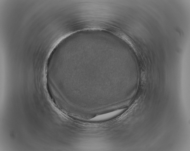 X0000112931124200909141328