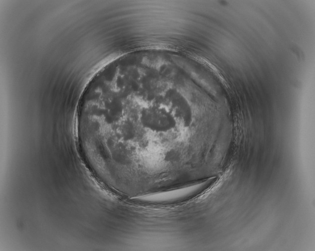 X0000112931125200909141328