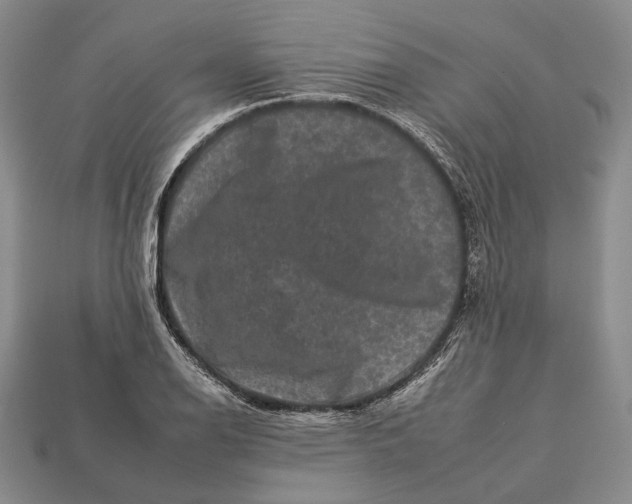 X0000112931126200909141328