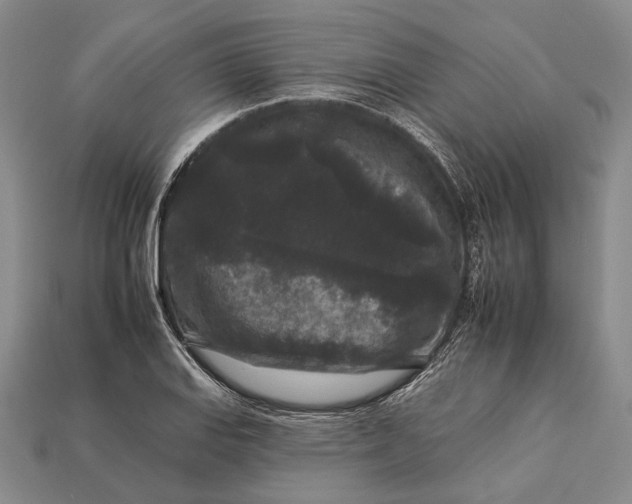 X0000112931127200909141328