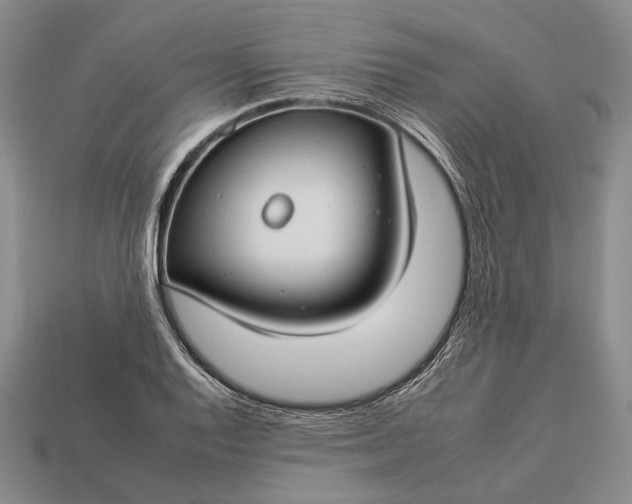 X0000112931128200909141328