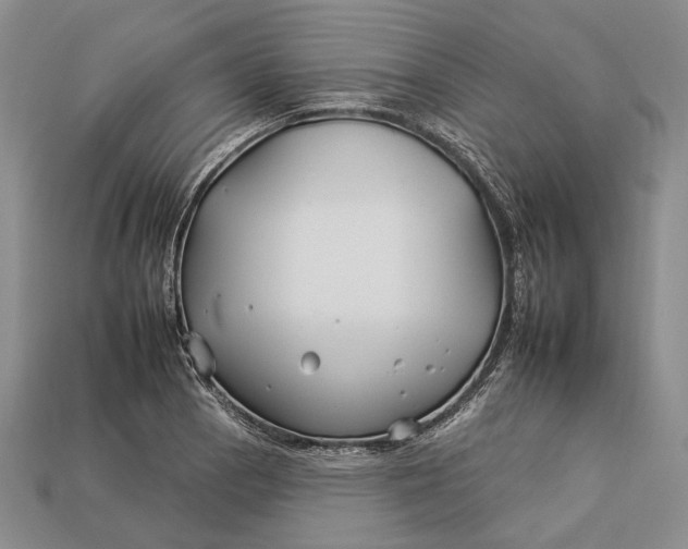 X0000112931129200909141328