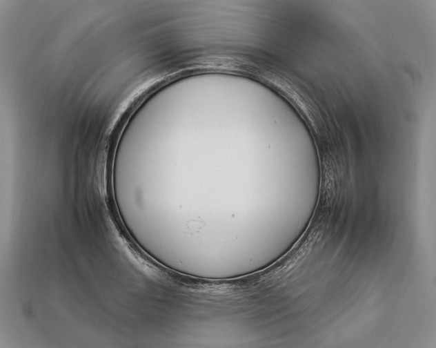 X0000112931131200909141328