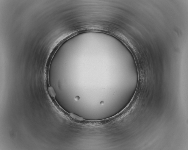 X0000112931133200909141328