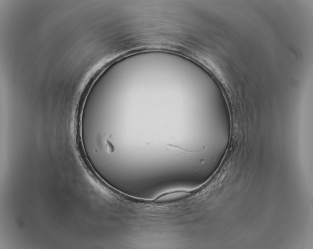 X0000112931136200909141328