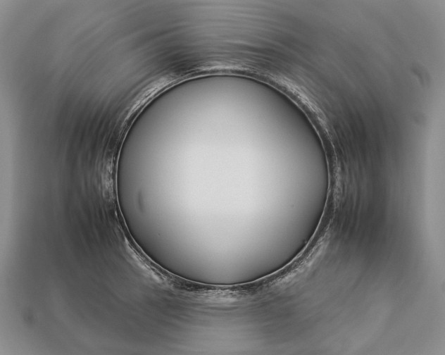 X0000112931137200909141328