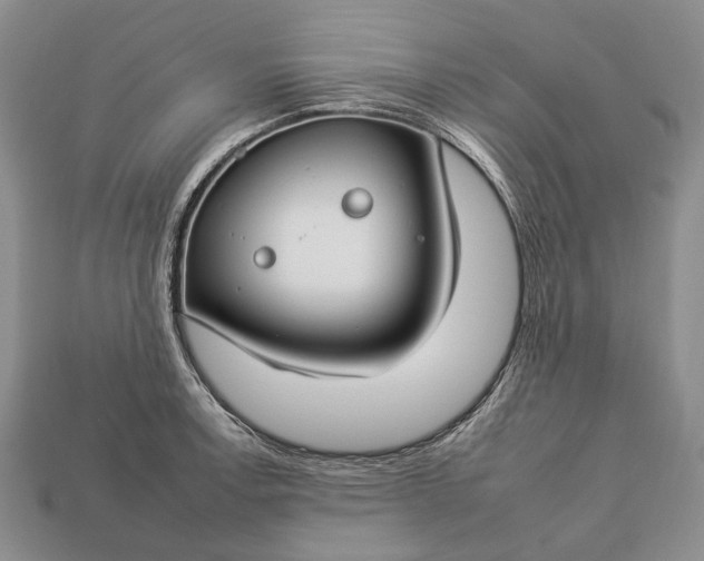 X0000112931138200909141328