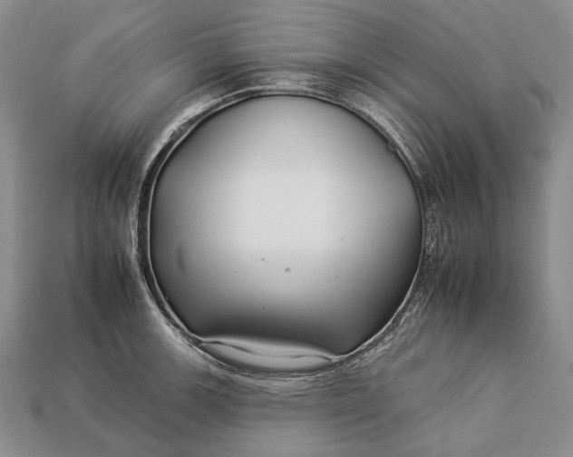 X0000112931139200909141328