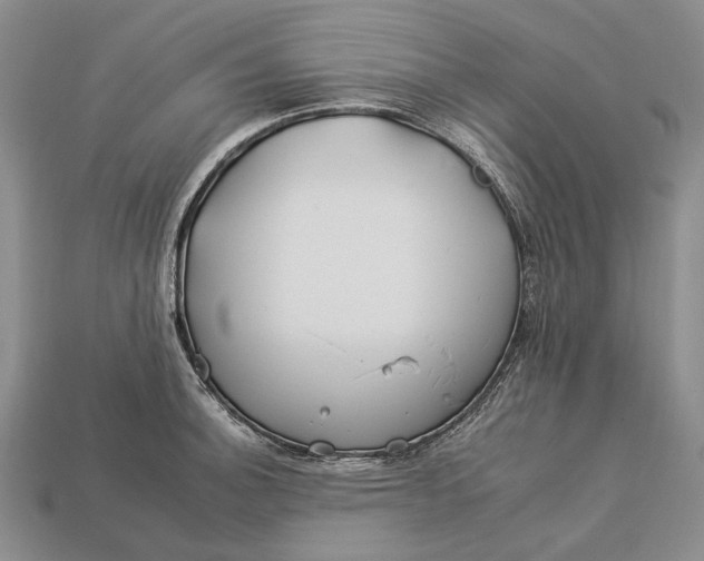 X0000112931140200909141328