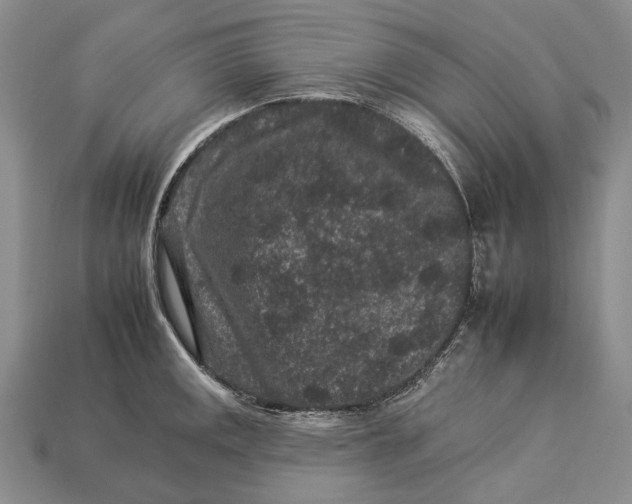 X0000112931141200909141328