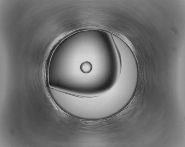 X0000112931144200909141328