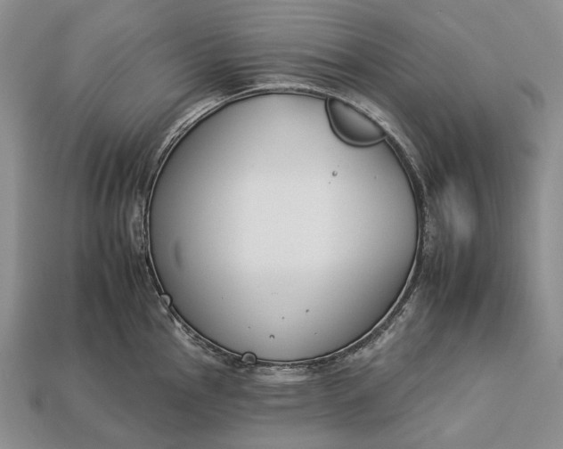 X0000112931145200909141328