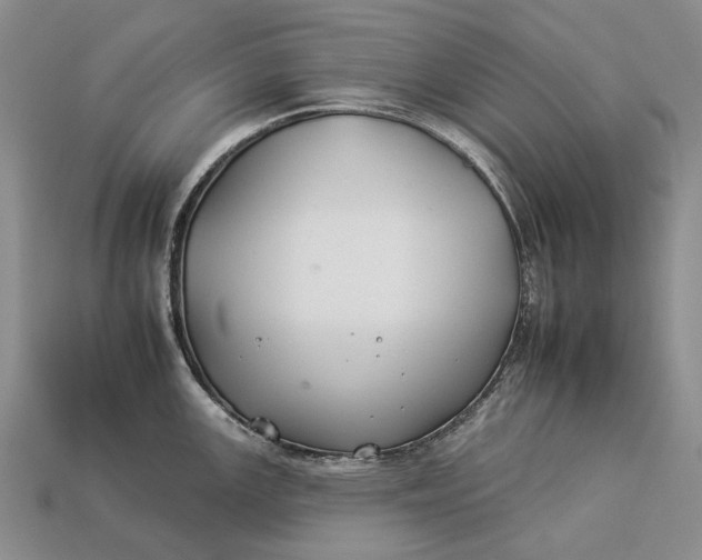 X0000112931147200909141328